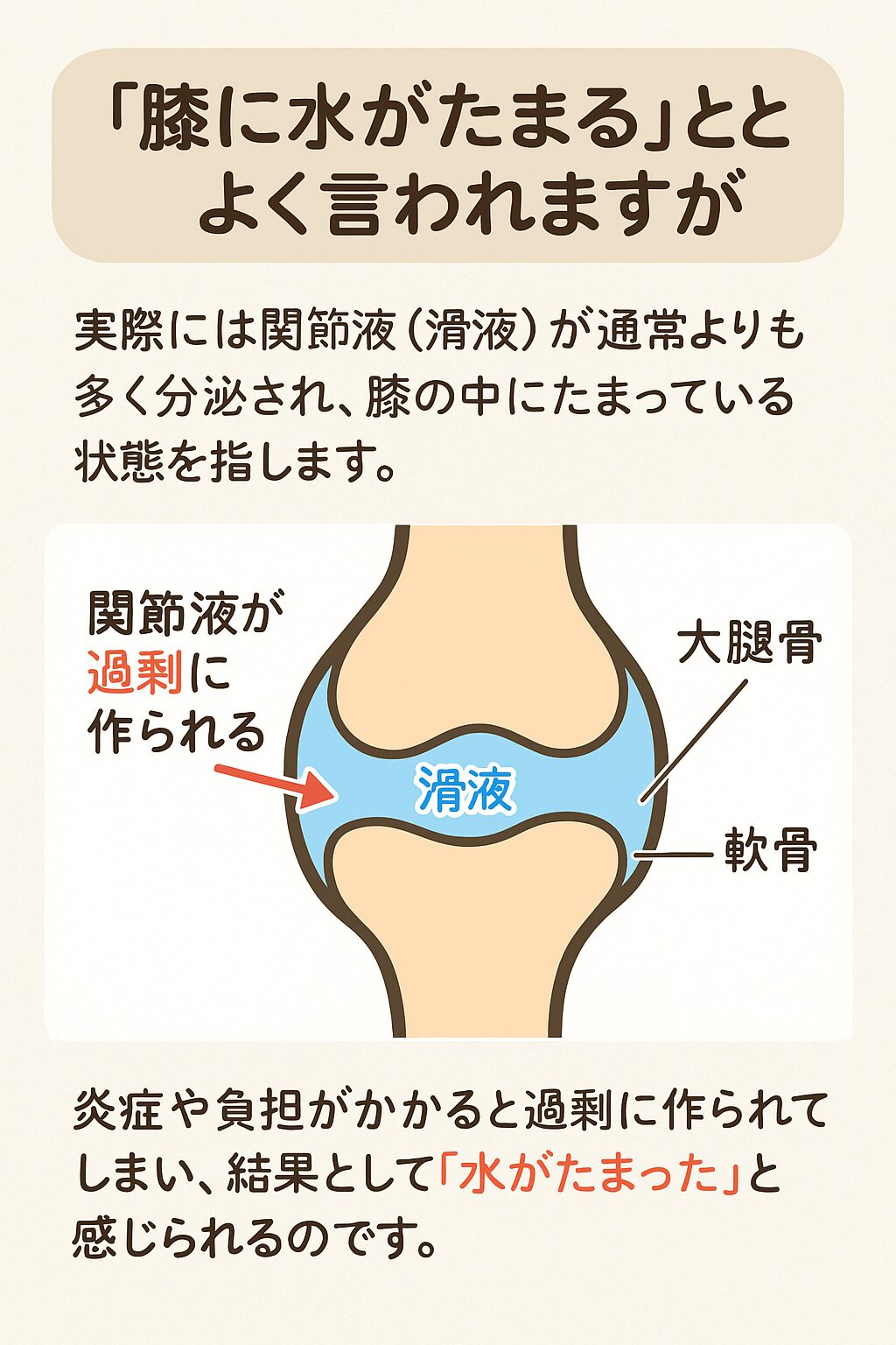 膝に水がたまるのはなぜ | 舌妙のパスタ おっほほい！ – LEPPN